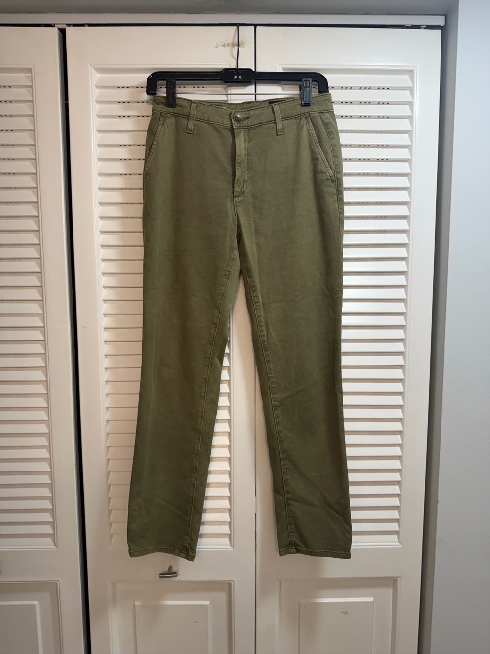 Agolde Olive Straight Caden Tailored Jean